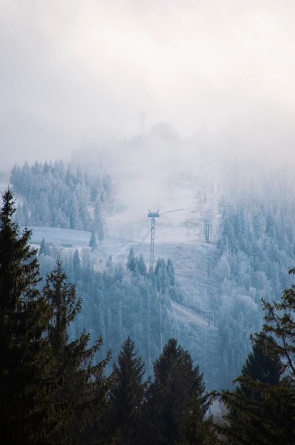 Silver Mountain B12 بويانا براسوف المظهر الخارجي الصورة