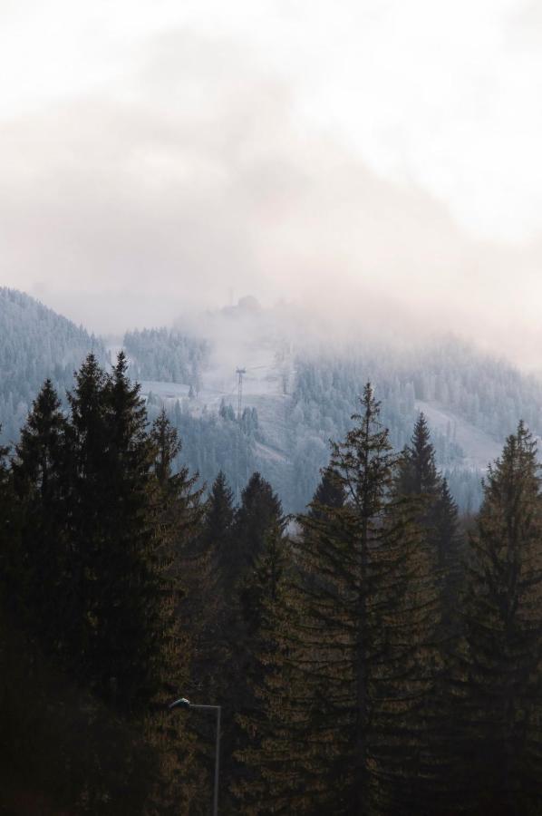 Silver Mountain B12 بويانا براسوف المظهر الخارجي الصورة